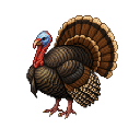Turkey