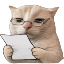 :Catnoted: