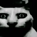 catstare