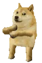 shibadance