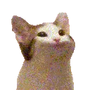 popcat1