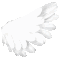z_wingg