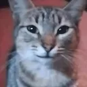 catsmirk