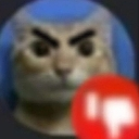 :catdislikereaction:
