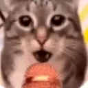 catonthemic