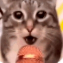 :catonthemic: