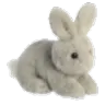 :002bunny: 002bunny