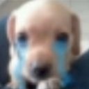 dogcry Discord emoji