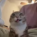 emoji_73