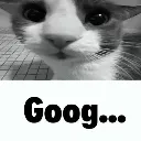 Goog