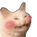 :bcat: