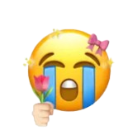 :cute_cry: