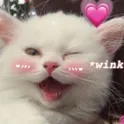 catwink