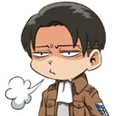 LeviFrustrated
