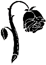 BlackRose
