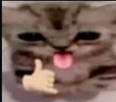 bleh