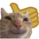 epik