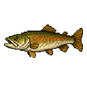 Ember_Pike