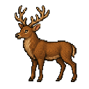 Stag