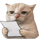 :226280catnoted: