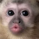 emoji_354