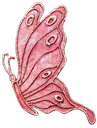 wings2