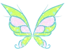 butterfly2