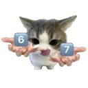1234SIXSEVEN