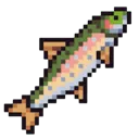 Rainbowtrout