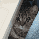 :emoji_61: