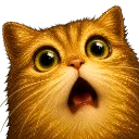 Gasp