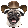 :hellyeah: