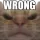 urwrong