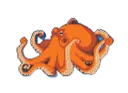 Octopus