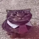 elegancia