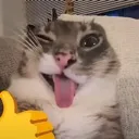 emoji_1