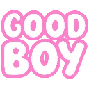 pw_good_boy