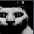 :huh: