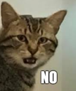 :No: