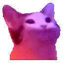 :cat_eat: