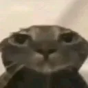 ouwgh