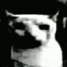 c_despair