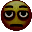 wtvervro