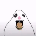 hungryhampter