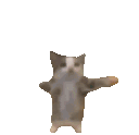 :cat_happy: