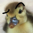 :uhduck: