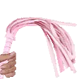 Wwhip
