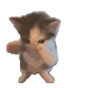 :cat_dance: