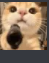 :cat_with_gun: