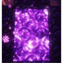 portal